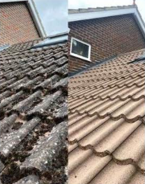 Tile Roof Deep Clean - Before & After