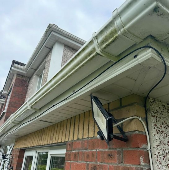 Gutter & Fascia Restoration - Image 1
